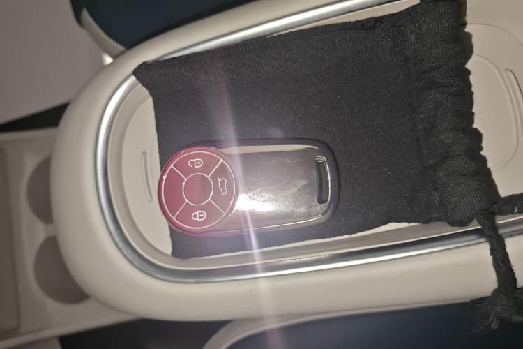 Used ORA Good Cat 2023 401 km Standard Range Luxury Version Lithium Iron Phosphate
