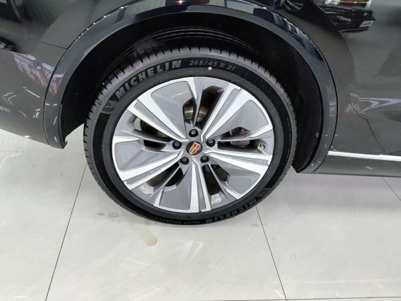 Used Hongqi E-HS9 2021 460 km Range Flagship Edition Six-Seater — 25