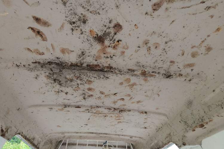 Used CHANGAN KAICHENG Star 3  Headliner