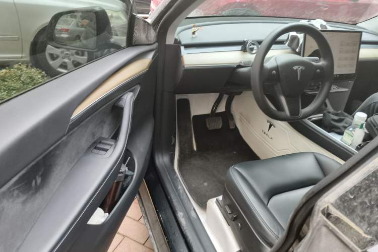 Used Tesla Model Y 2022 Revised Version Long-Range All-Wheel Drive
