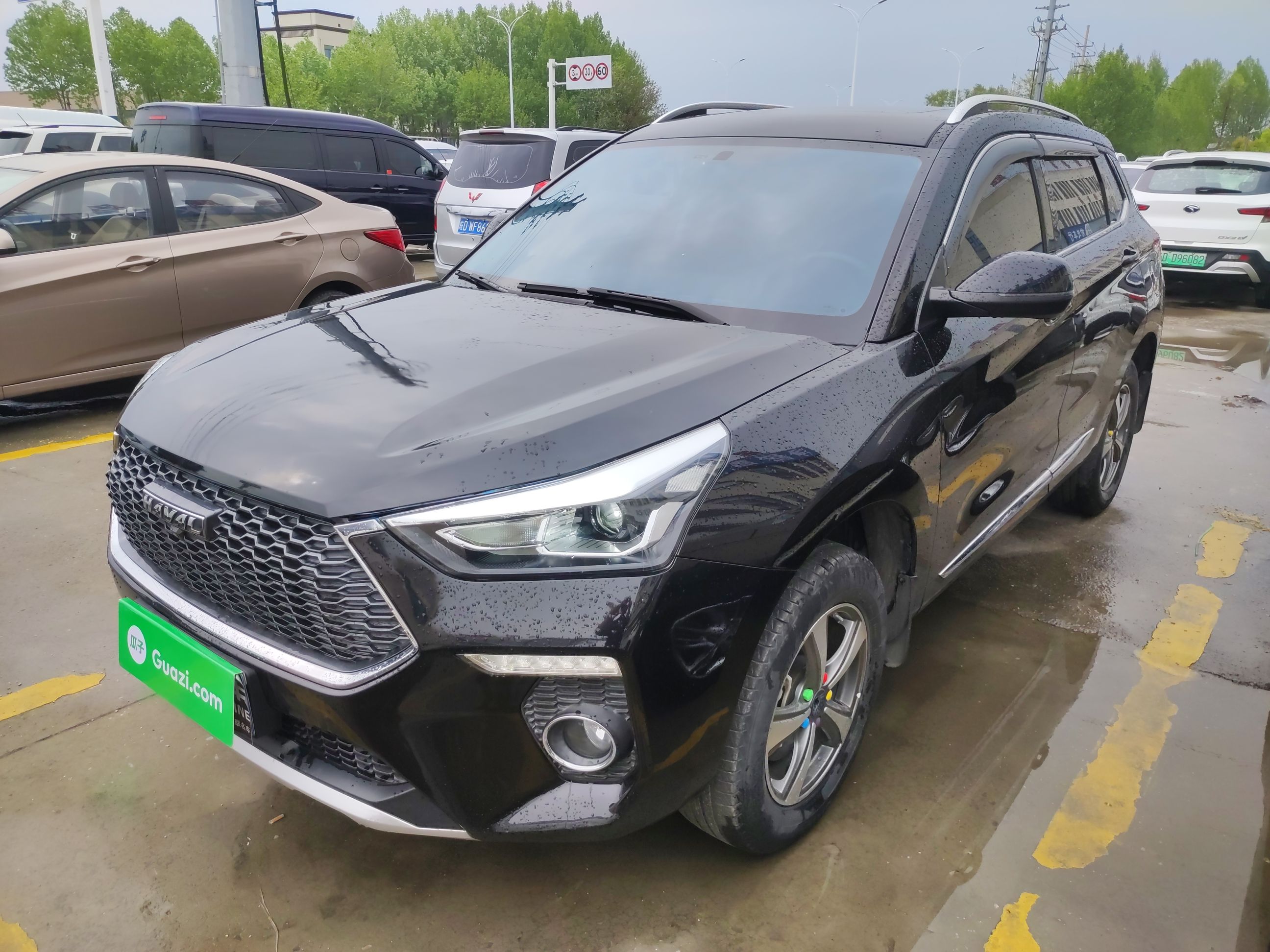 Parte inferior delantera