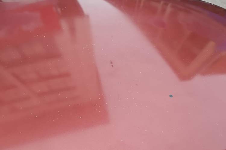 Used Citroen Elysee 2014 1.6L Automatic Fashion Model
