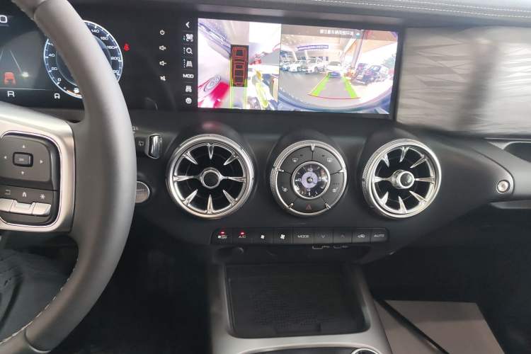 Used Tank 300 2024 2.0T Conqueror