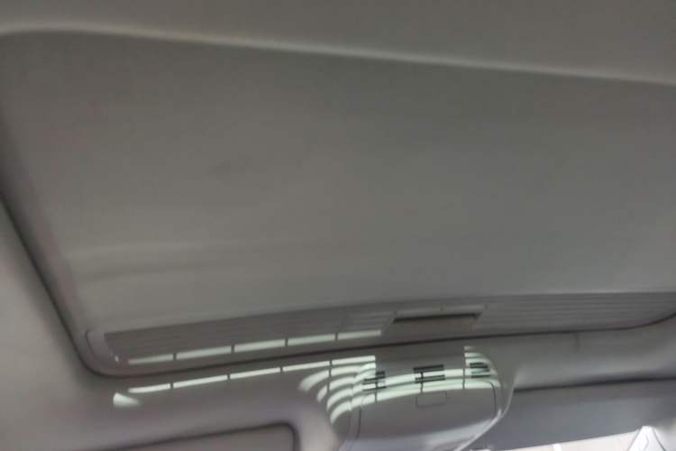 Used Volkswagen Magotan 2009 1.8 TSI DSG Comfort Edition Headliner