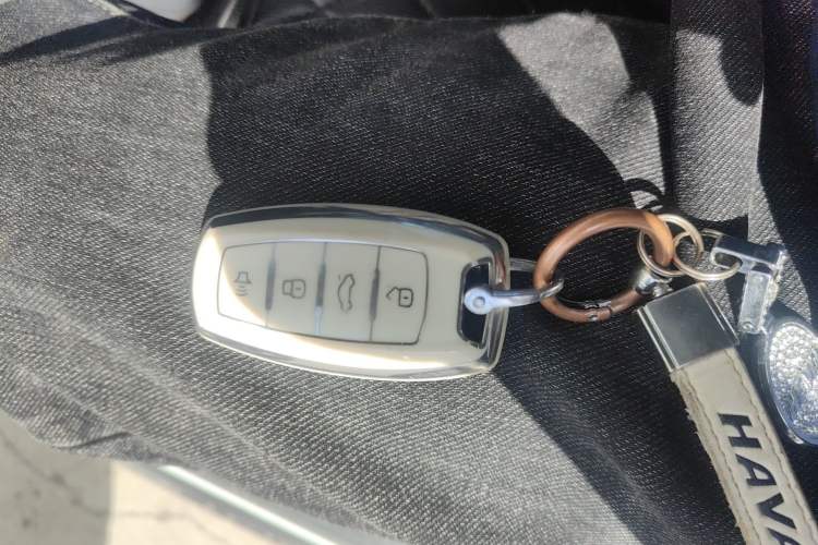 Used Haval M6 2019 1.5T Manual Two-Wheel Drive Elite Version China VI Standard