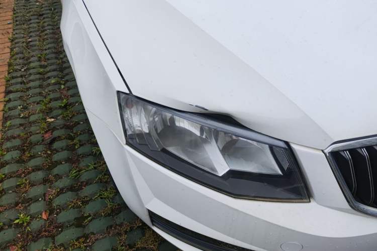 Used Skoda Octavia 2016 1.6L Manual Trend Edition
