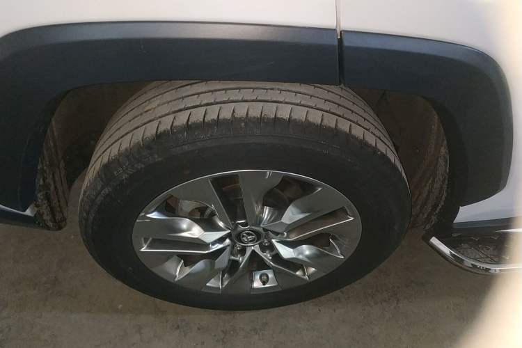 Used Toyota Wildlander 2022 2.0L CVT Two-Wheel Drive Luxury Edition
