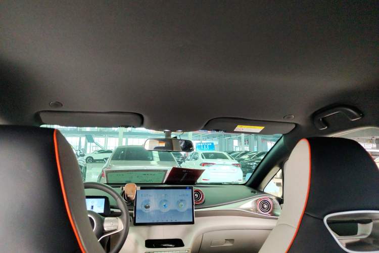 Used BYD Dolphin 2021 405 km Free Version Headliner