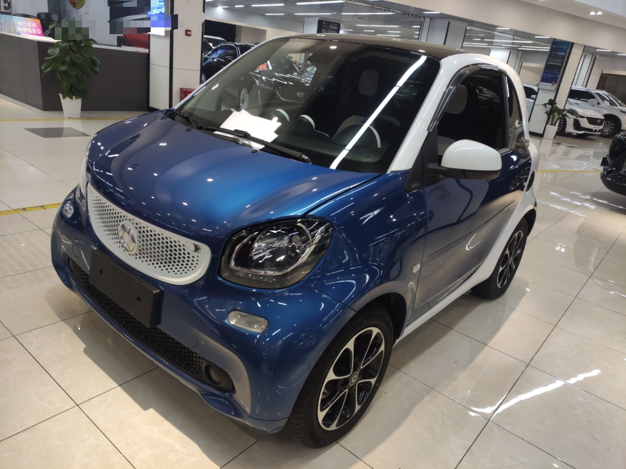 Parte inferior delantera