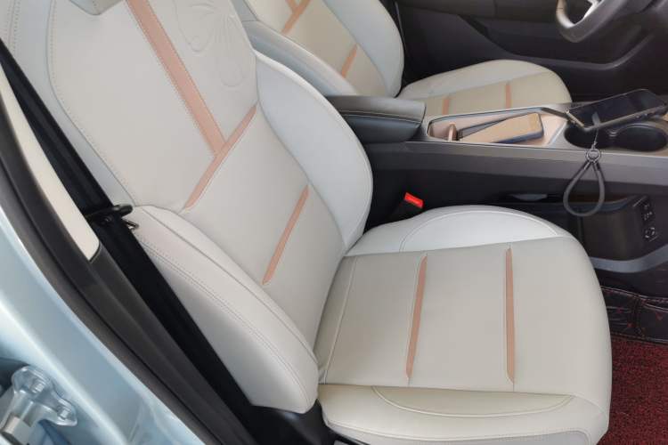 Used SOL E10X 2022 Flower Fairy Design Four-Leaf Clover