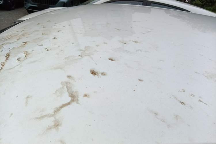 Used Geely Galaxy Geome 2026 Model 310km Youth Edition Roof