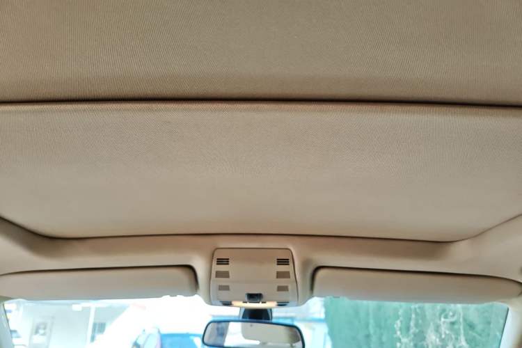 Used BMW X1 2012 sDrive18i Luxury Edition Headliner