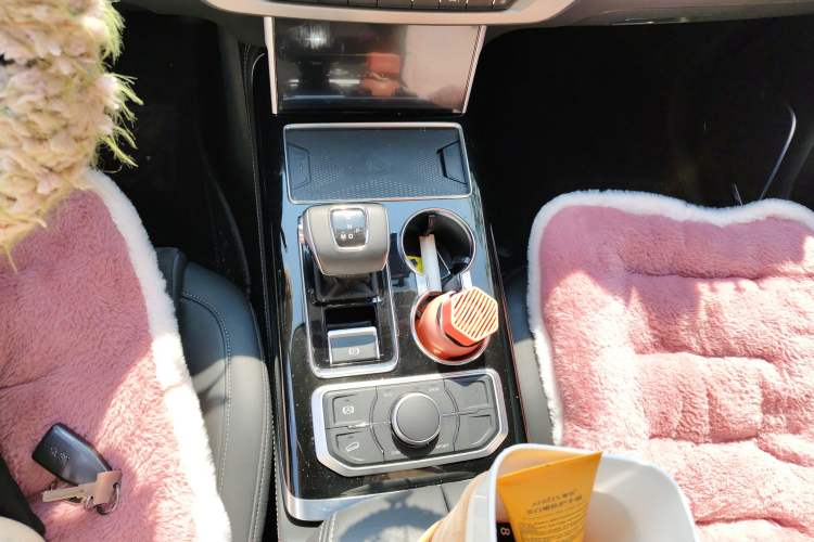 Used Hongqi HS7 2021 2.0T DCT Two-Wheel Drive Smart Connect Flagship Edition
