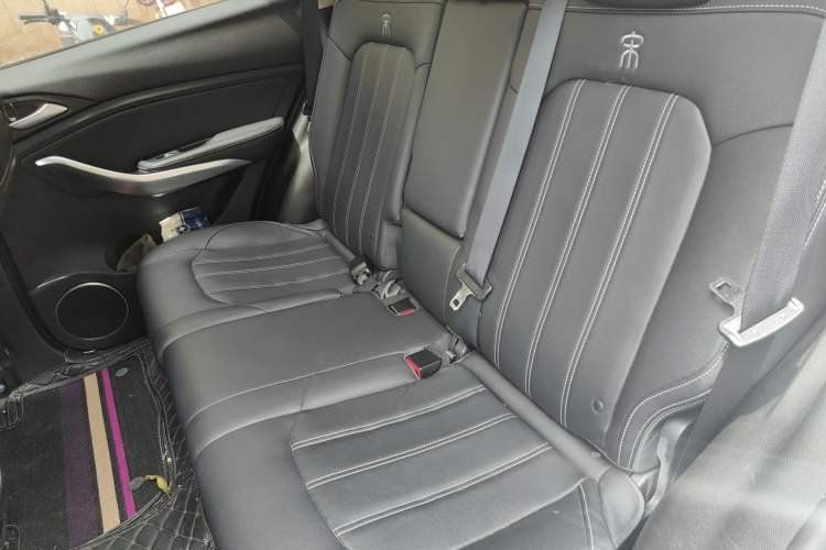 Used BYD Song New Energy 2019 Song DM 1.5TID Smart Connect Dynamic Model Left Rear Seat