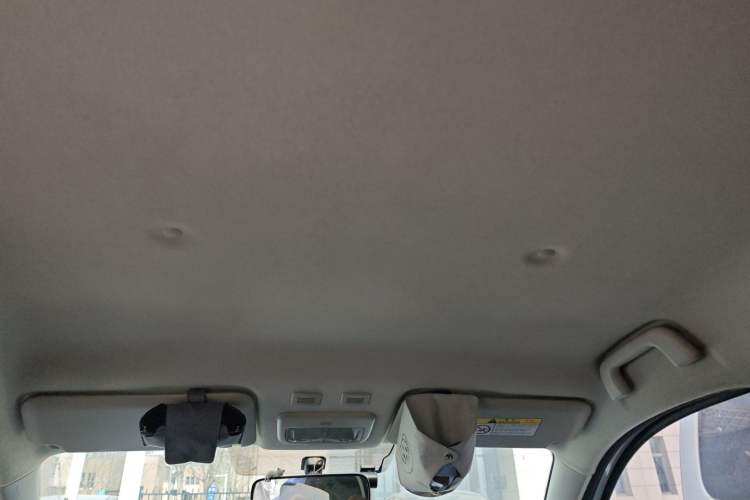 Used ORA Black Cat 2019 310 km Dynamic Edition