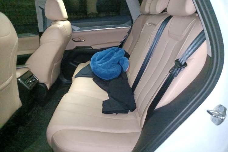 Used BYD Song Pro New Energy 2025 Second-Generation DM-i 75KM Overachiever Trim Left Rear Seat