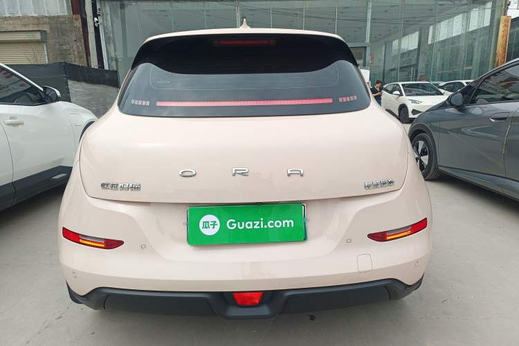Used ORA Good Cat 2024 501 km Luxury Version Rear