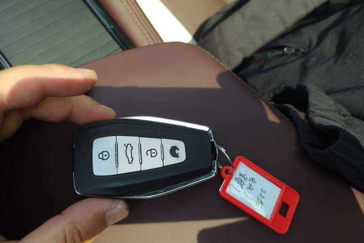 Used Geely Auto Monjaro L 2021 2.0TD DCT EVO Two-Wheel Drive Prestige Version Interior 1