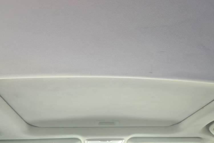 Used Honda Elysion 2016 2.4L Classic Edition Headliner