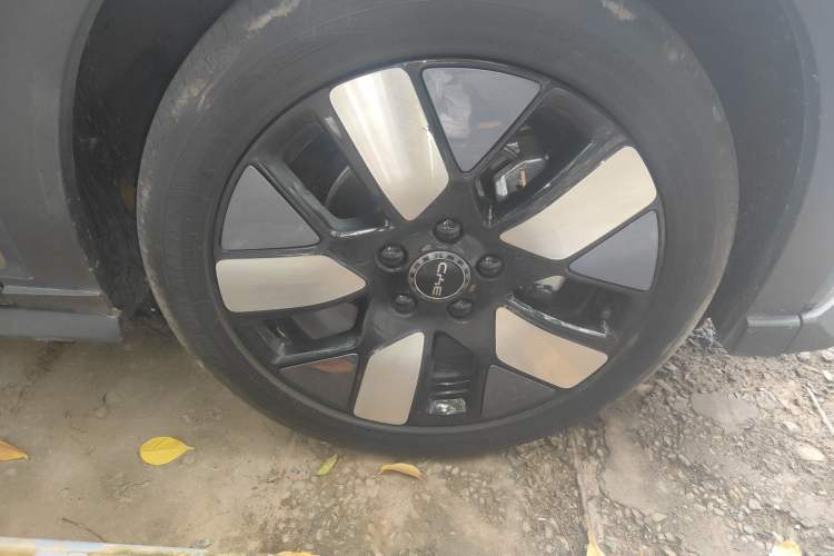 Used BYD Dolphin 2025 520km Range Knight Edition
