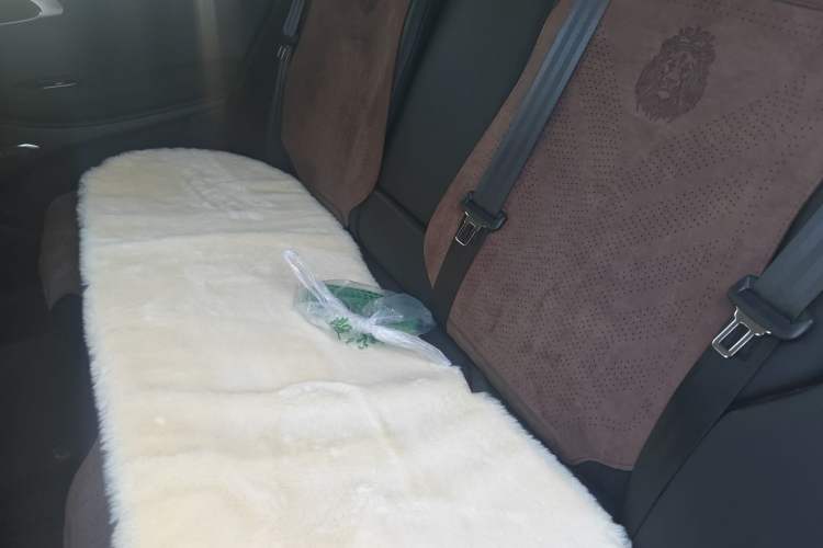 Used EXEED Lingyun 2024 300T Two-Wheel Drive Starlight Edition Left Rear Seat