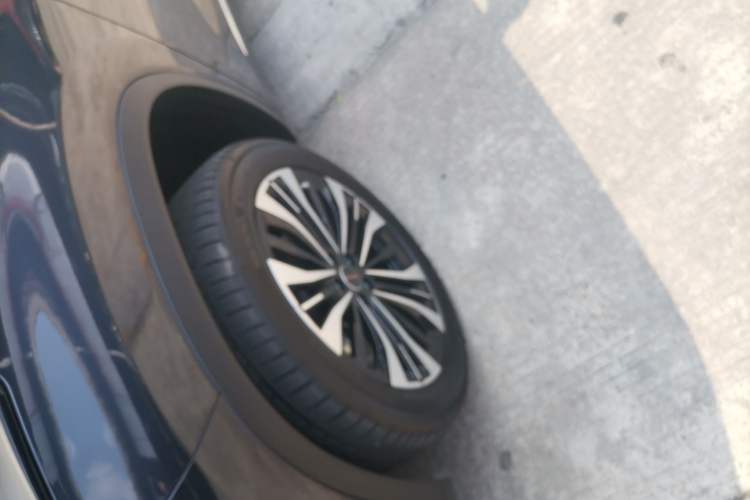 Used EXEED Lingyun 2024 300T Two-Wheel Drive Starlight Edition