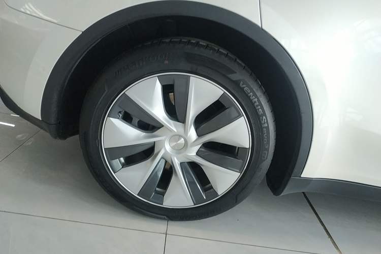 Used Tesla Model Y 2021 Standard Range Rear-Wheel Drive Version
