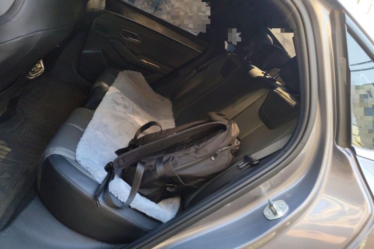 Used BYD Qin L 2024 DM-i 80KM Leading Model Left Rear Seat