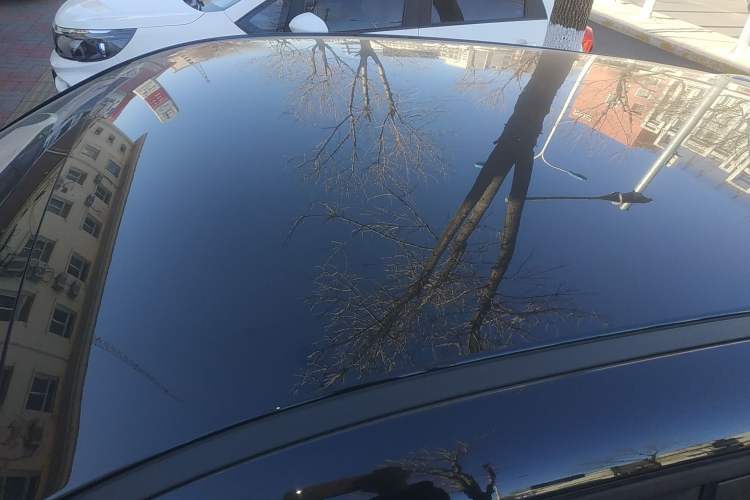 Used ORA Black Cat 2021 301 km Basic Version