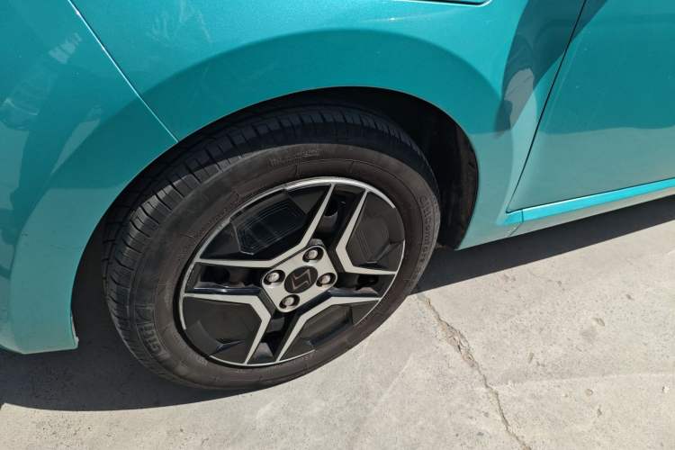 Used SOL E10X 2022 Flower Fairy Design Four-Leaf Clover
