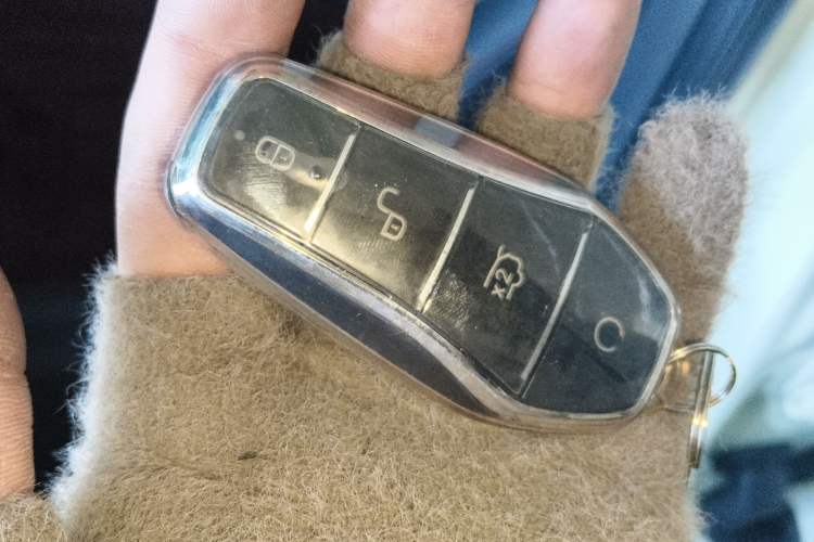 Used BYD Dolphin 2025 420km Free Edition