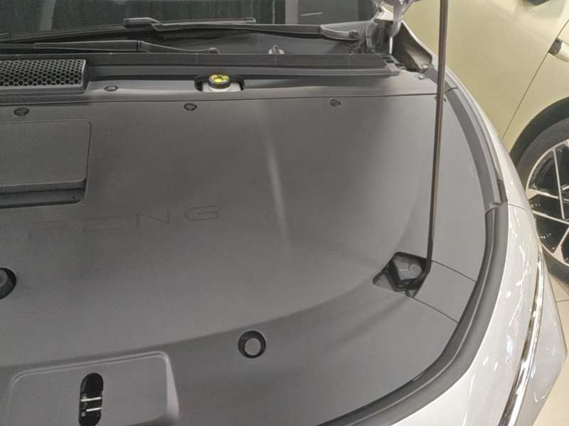 Used XPeng P7+ 2024 Long-Range Max — 23