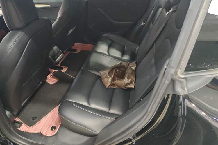 Used Tesla Model 3 2021 Standard Range Rear-Wheel Drive Upgraded Version 3D6