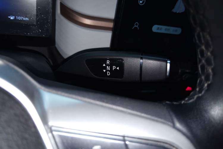 Used SOL E10X 2022 Flower Fairy Style Baby's Breath Gear Lever