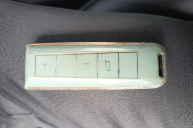 Used Tank 300 2021 Off-Road Edition 2.0T Challenger Interior 1