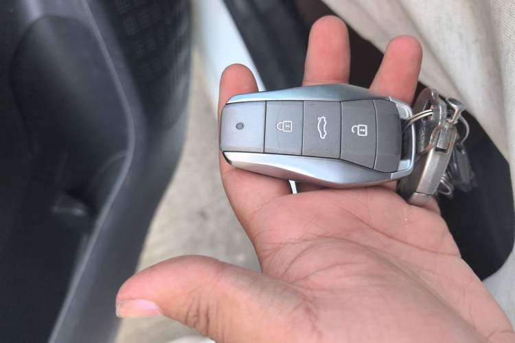 Used SOL E10X 2022 Flower Fairy Design Four-Leaf Clover Vehicle Key