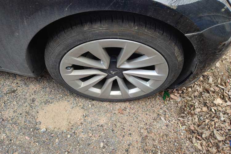 Used Tesla Model 3 2021 Standard Range Rear-Drive Upgraded Version
