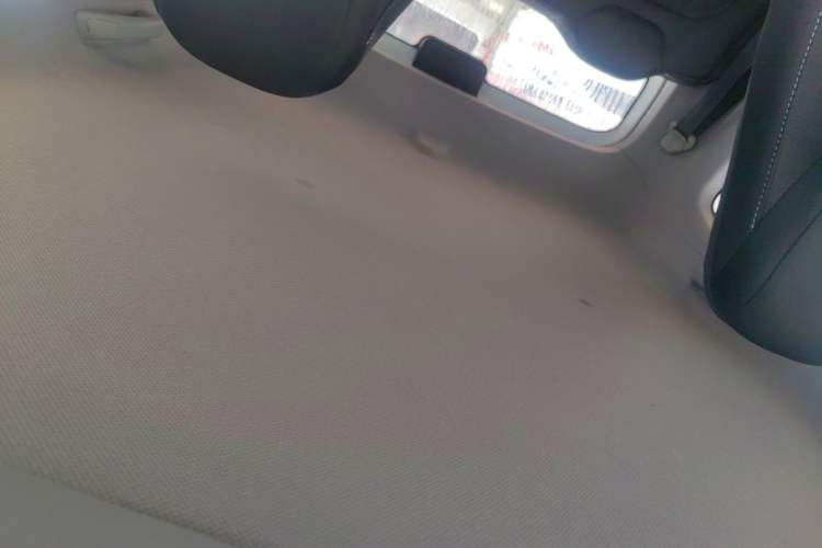 Used Wuling Hongguang MINIEV 2020 Freedom Version Lithium Iron Phosphate Headliner