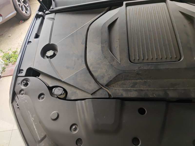 Used BYD Qin PLUS 2021 EV 400KM Luxury Model — 25
