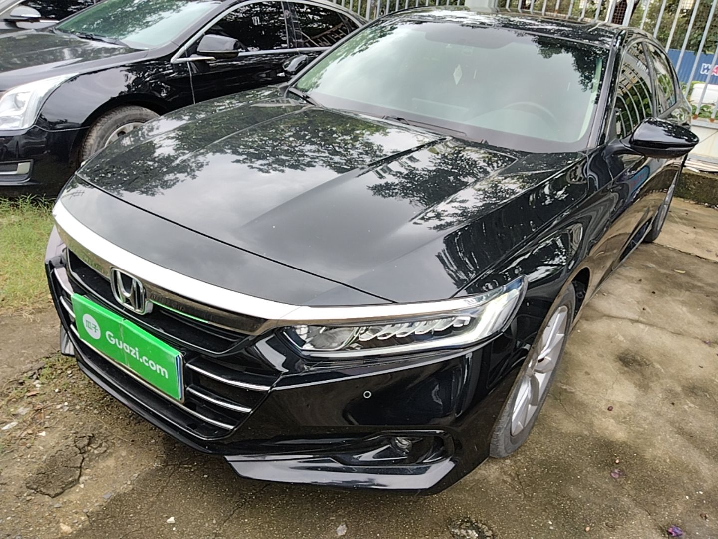 Under Front Bumper