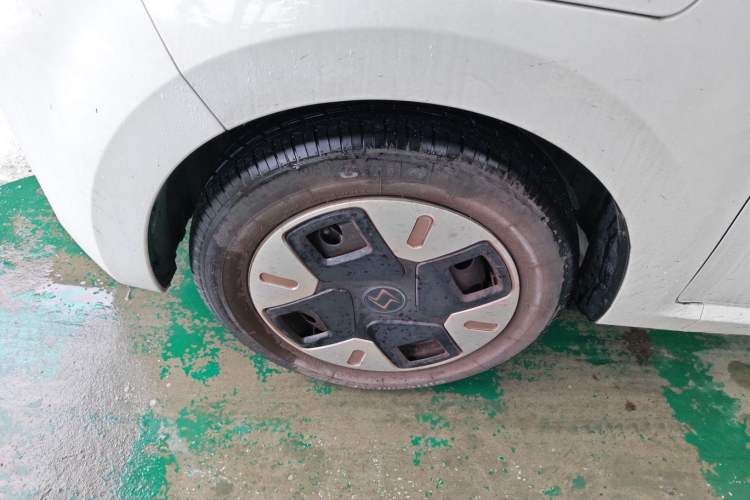 Used SOL E10X 2022 Flower Fairy Design Dandelion