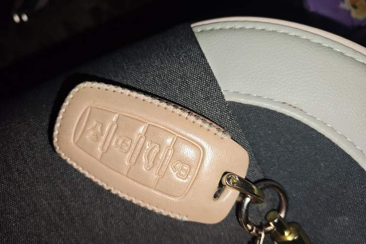 Used ORA Black Cat 2022 405 km Long-Range Version Ternary Lithium Vehicle Key