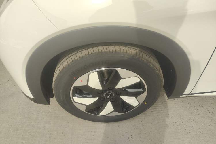 Used BYD Dolphin 2025 420km Free Edition