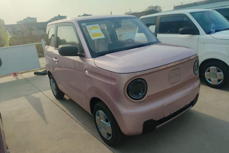 Used Geely Galaxy Panda 2024 Panda Mini 200km Endurance Bear Front Right 45 Deg