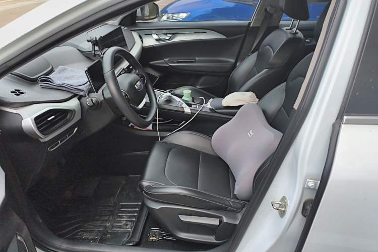 Used Geometry G6 2022 480 New Smart Type Left Front Seat