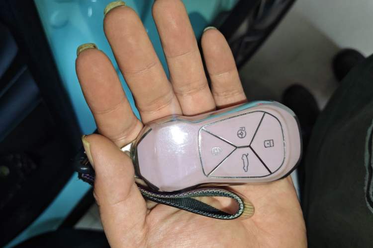 Used XPeng G3 2021 G3i 520N Vehicle Key