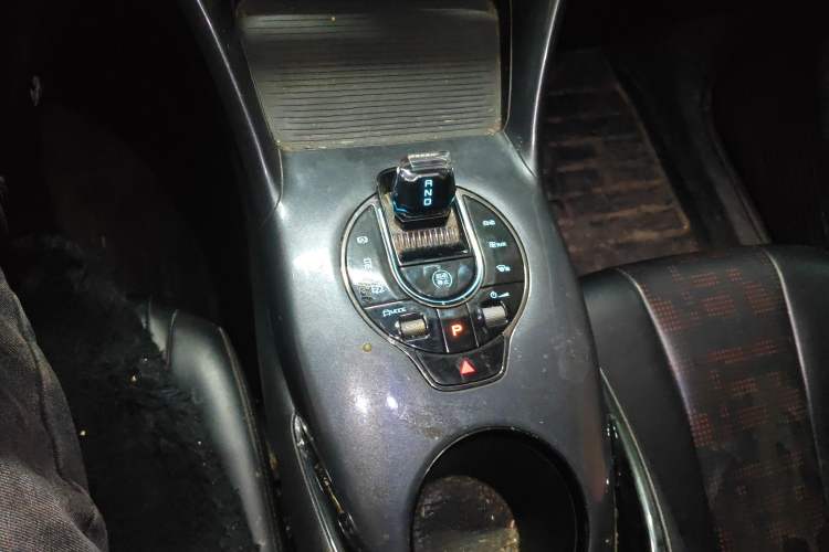 Used BYD e2 2023 Luxury Model Gear Lever