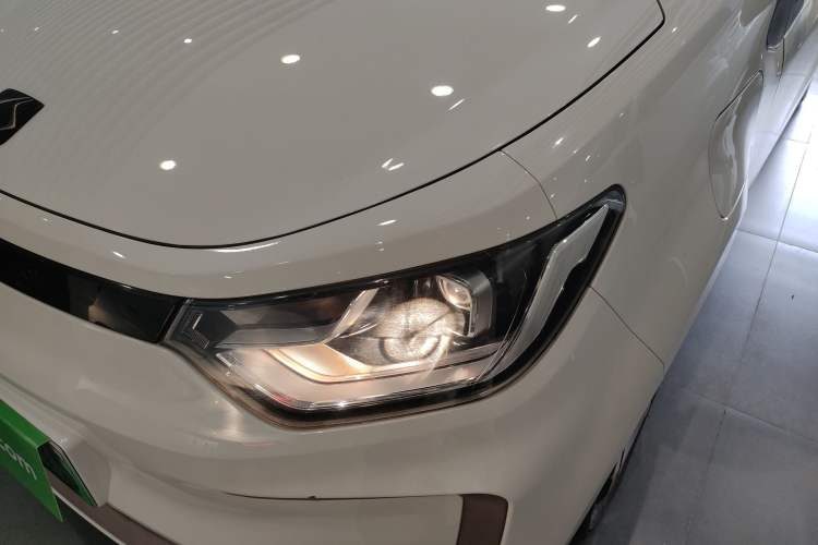 Used SOL E10X 2022 Flower Fairy Style Baby's Breath
