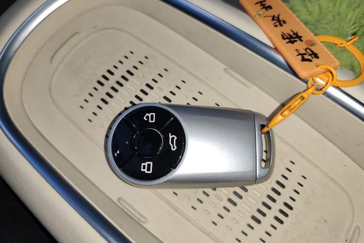 Used ORA Good Cat 2023 401 km Standard Range Premium Version Lithium Iron Phosphate
