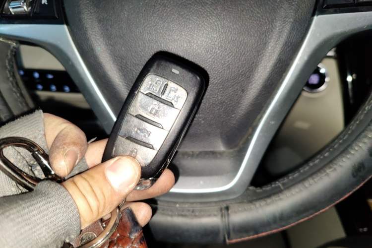 Used Oshan Cosmos 2019 1.5T Automatic Flagship Version China VI Standard
